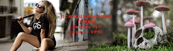 jwh Ладушкин